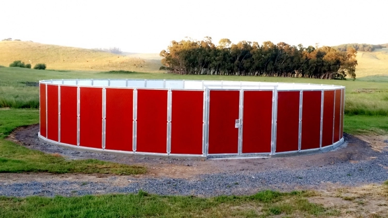 Riding the Safe Circle: A Guide To Round Pen Safety Measures